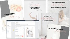 Ressurser i Businesstrategi