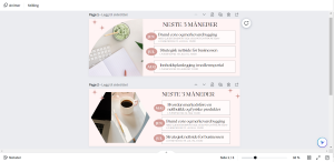 Maler i Canva for Businesstrategi Facebookgruppe